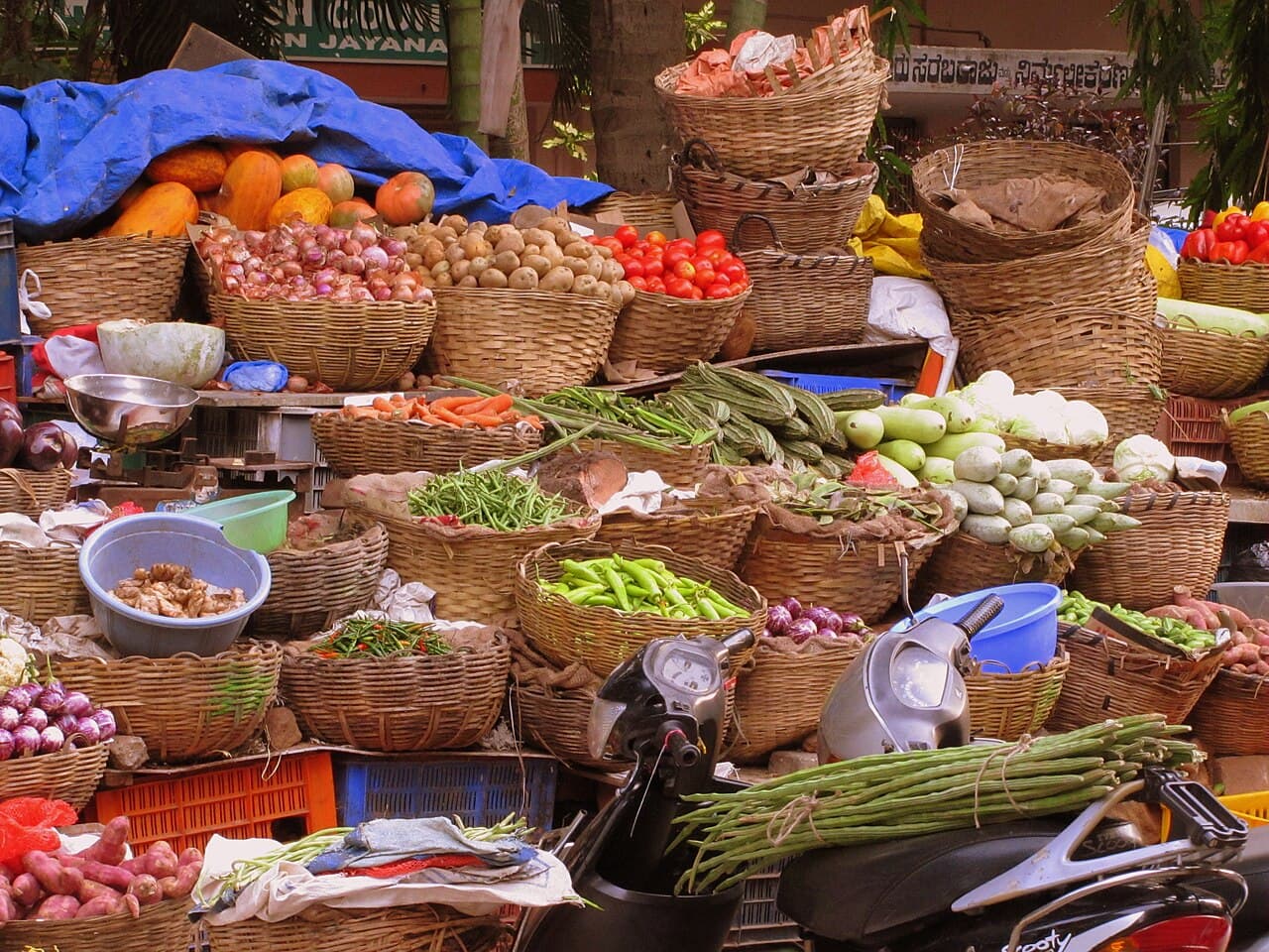 Los ingredientes del día